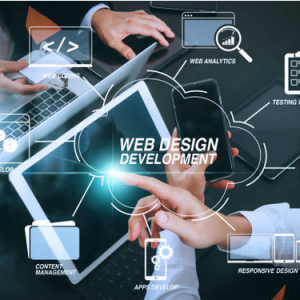 Website Design Training